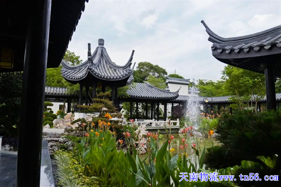 雷火·竞技-LHEsports-能量全开,竞不成挡